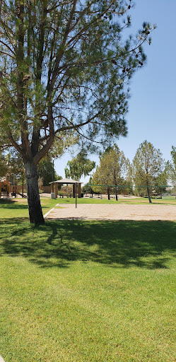 Mustang Volleyball Court