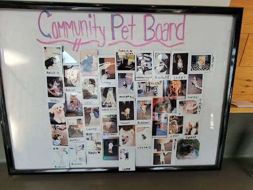 Coffee Shop «Starbucks», reviews and photos, 10344 Main Street, Fairfax, VA 22030, USA