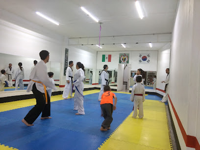 Escuela De Taekwondo CHUNG SONG MUGUNGHWA - 38900, Celaya - Yuriria 1216, Zona Centro, Salvatierra, Gto., Mexico
