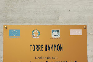 Torre Hammon