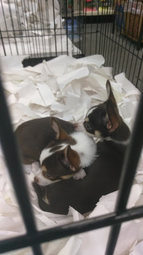 Pet Supply Store «Our Pet World», reviews and photos, 380 Semoran Commerce Pl, Apopka, FL 32703, USA