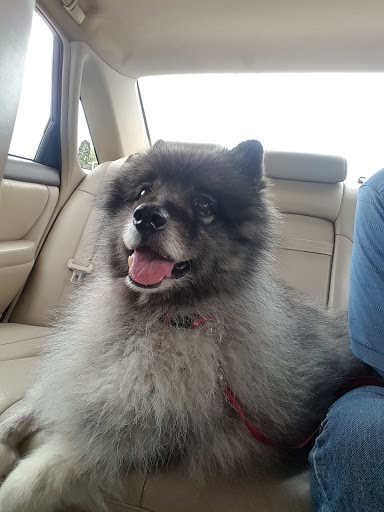 1101 Battlefield Blvd S # 5, Chesapeake, VA 23322, USA