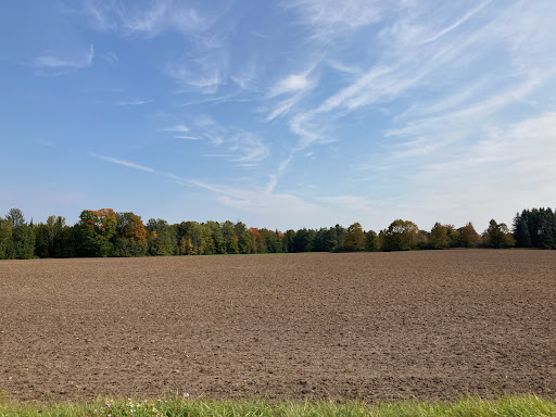 Pet Supply Store «C & J Feed Store», reviews and photos, 2653 Aurora Rd, Melbourne, FL 32935, USA