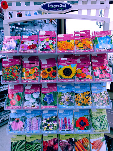 Hardware Store «Fernandes Lumber Inc», reviews and photos, 299 Depot St, South Easton, MA 02375, USA