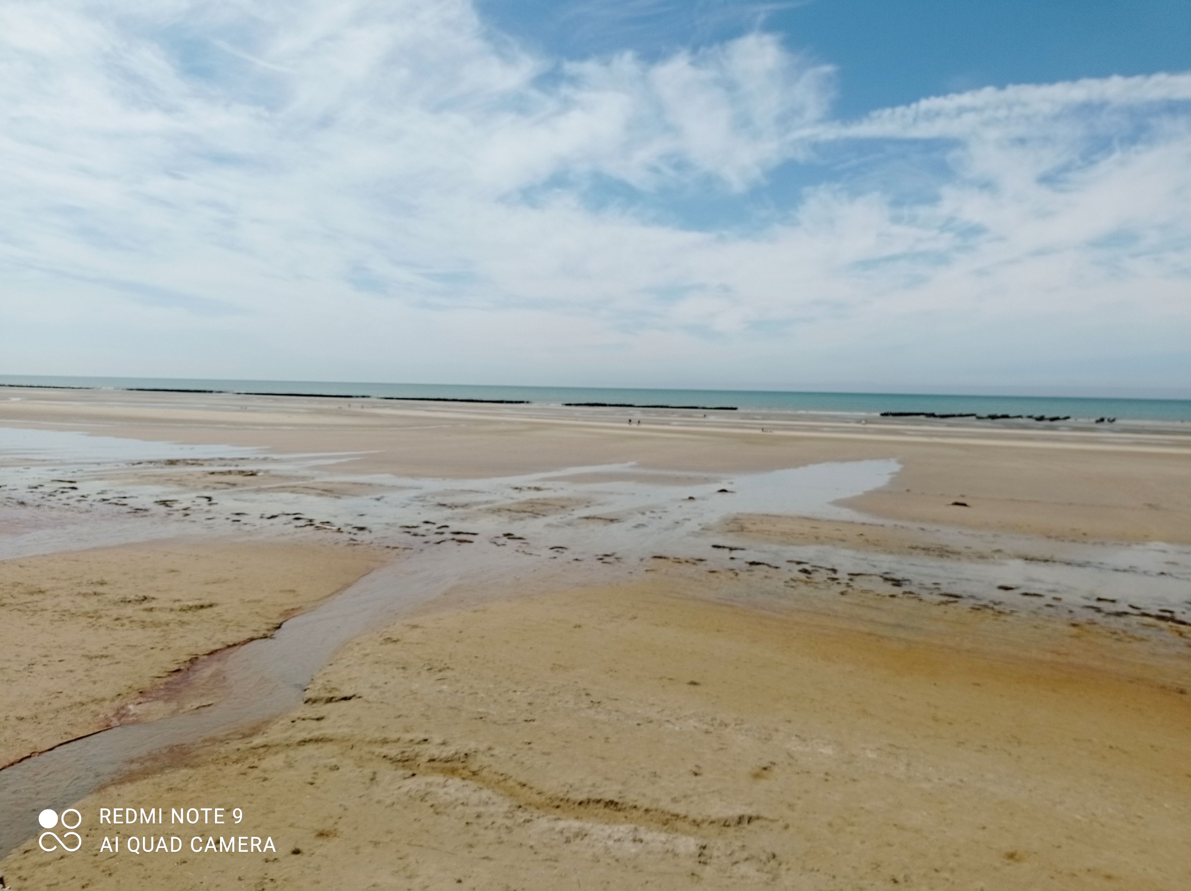 Photo n° 10 de l'avis de Michael.u fait le 15/08/2021 à 18:06