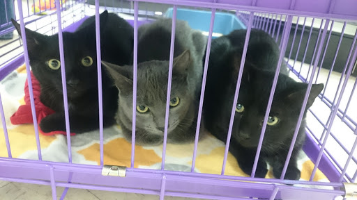 Pet Supply Store «Healthy Pet Center», reviews and photos, 237 N Greenbush Rd, Troy, NY 12180, USA