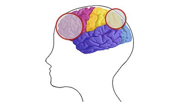 Schoresch Bio- und Neurofeedback