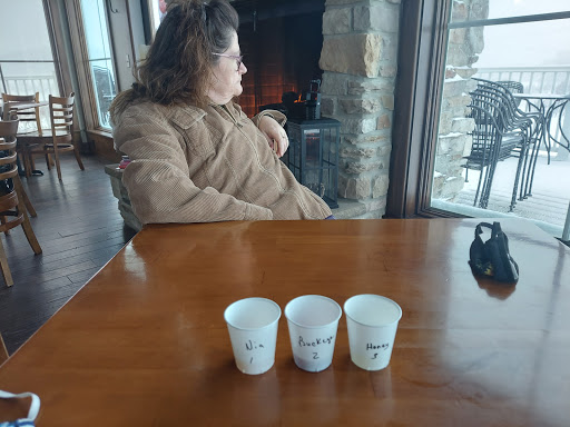 Winery «Quarry Hill Winery», reviews and photos, 8403 Mason Rd #2, Berlin Heights, OH 44814, USA