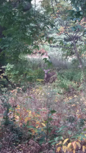 Golf Course «Goodwin Park Golf Course», reviews and photos, 1130 Maple Ave, Hartford, CT 06114, USA