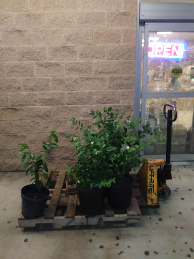 Grocery Store «Trinh Grocery & Video», reviews and photos, 1602 Lake Harbin Rd B, Morrow, GA 30260, USA