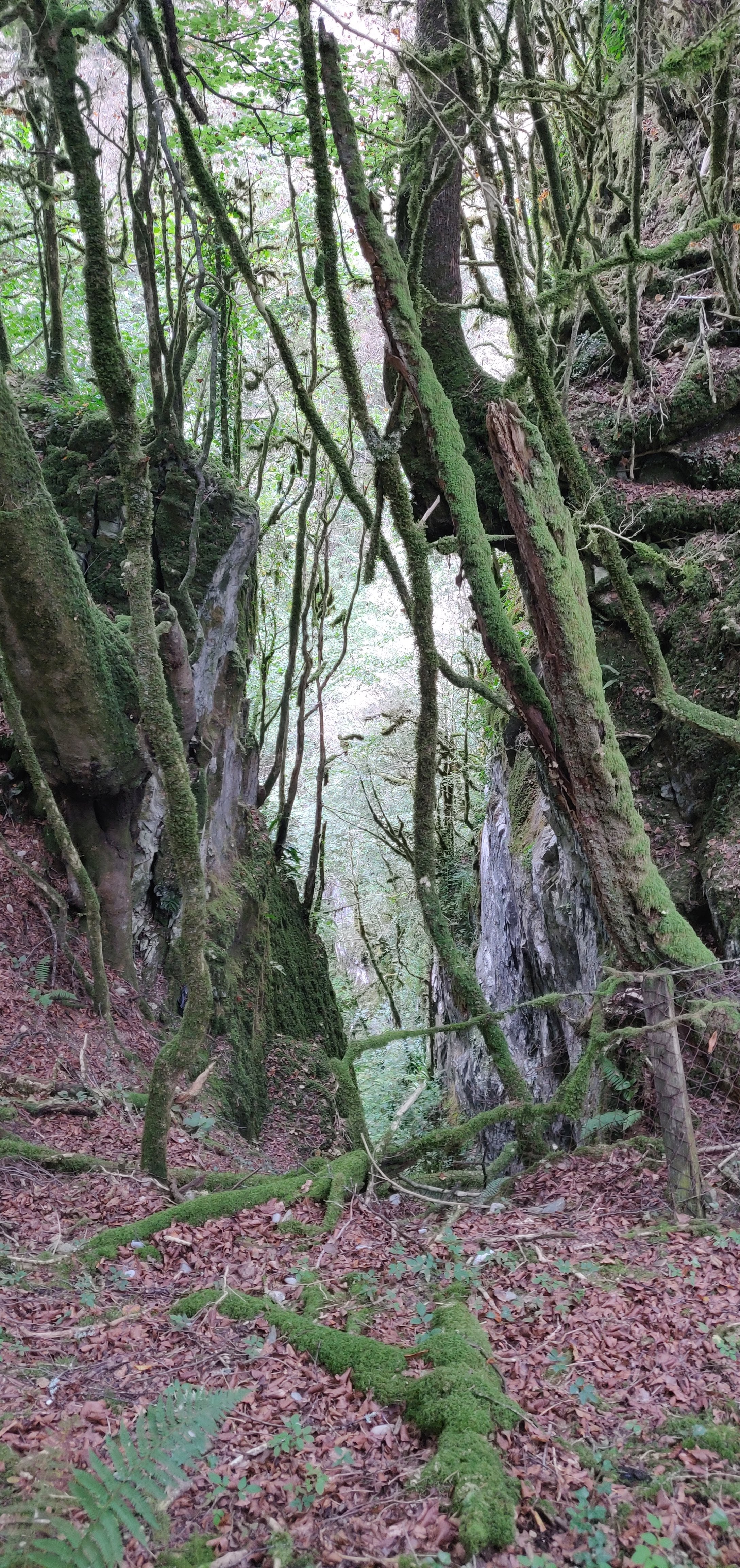 Photo n° 41 de l'avis de Jis.e fait le 27/08/2019 à 11:57