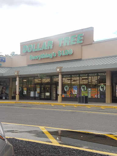 Dollar Store «Dollar Tree», reviews and photos, 1038 U.S. 9, Parlin, NJ 08859, USA
