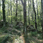 Photo n°2 de l'avis de gabriele.o fait le 11/08/2019 à 15:20 sur le  Il Lago Lungo di Bagno di Romagna (FC) - Ristorante & Eventi à Bagno di Romagna