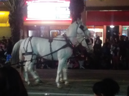 Mexican Restaurant «El Pollo Loco», reviews and photos, 2501 Slauson Ave, Huntington Park, CA 90255, USA