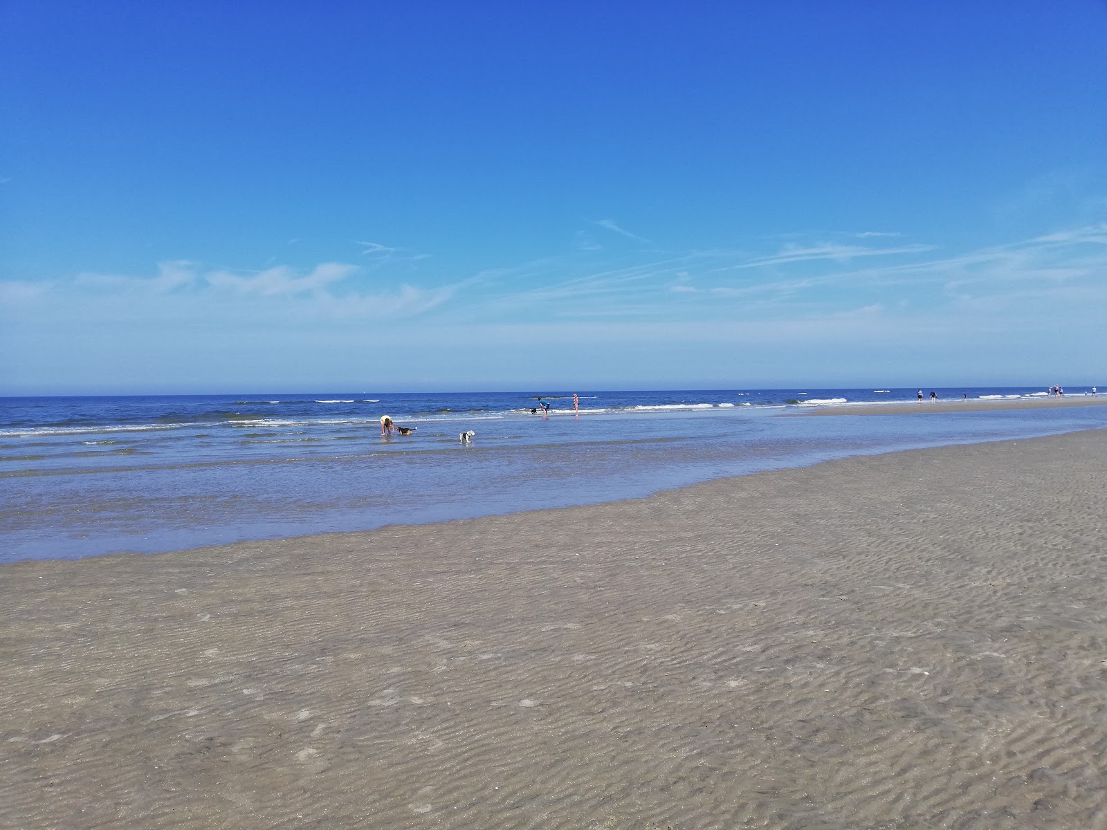 Romo Bilstrand Beach的照片 具有非常干净级别的清洁度