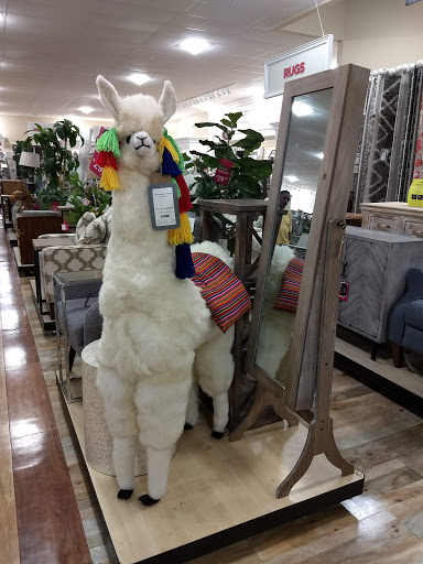 Department Store «HomeGoods», reviews and photos, 3102 Plank Rd, Fredericksburg, VA 22401, USA