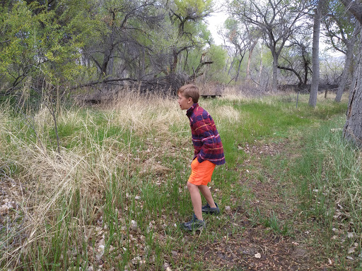 Nature Preserve «Kern River Preserve», reviews and photos, 18747 CA-178, Weldon, CA 93283, USA