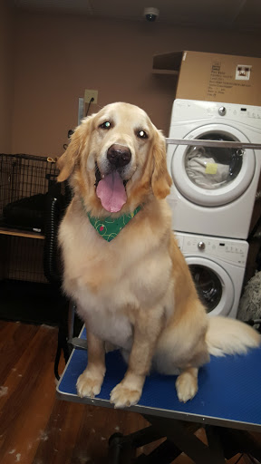 Pet Store «Pet Valu», reviews and photos, 2645 Shillington Rd, Sinking Spring, PA 19608, USA