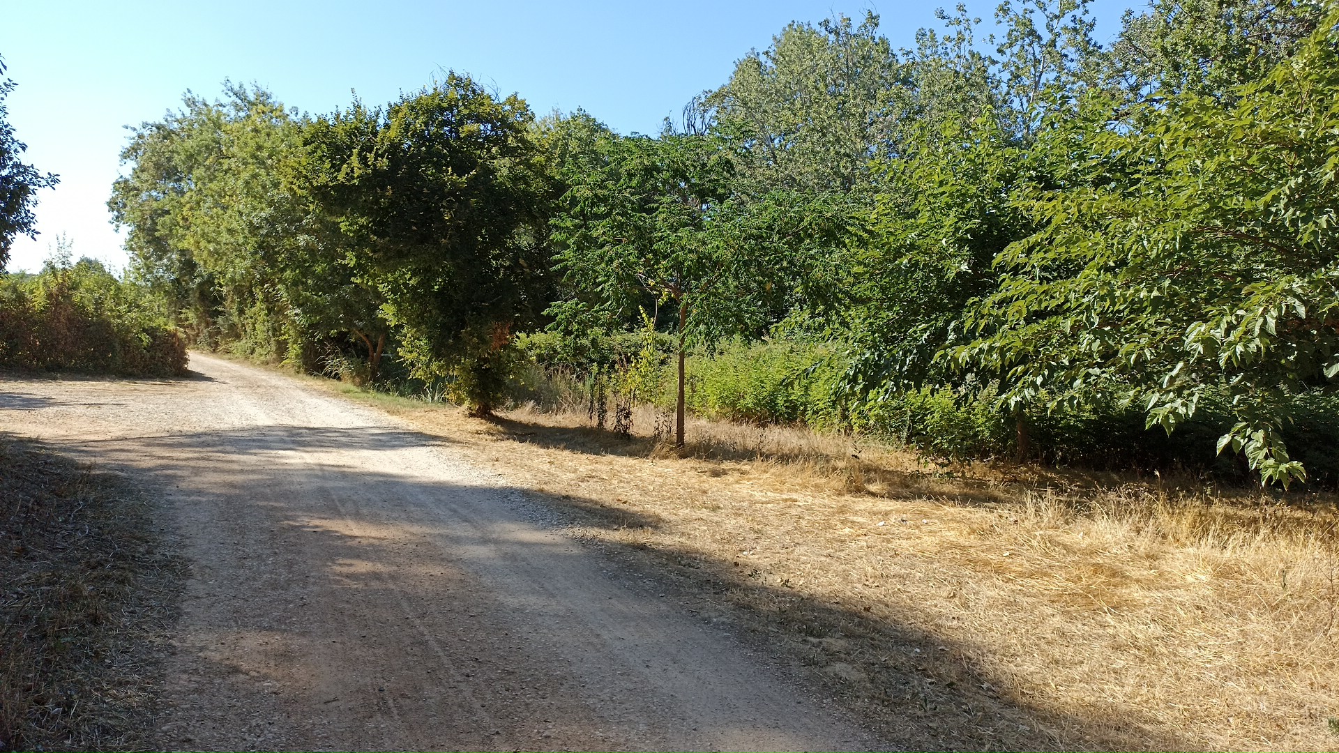 Photo n° 2 de l'avis de Bruno.e fait le 02/08/2022 à 15:15