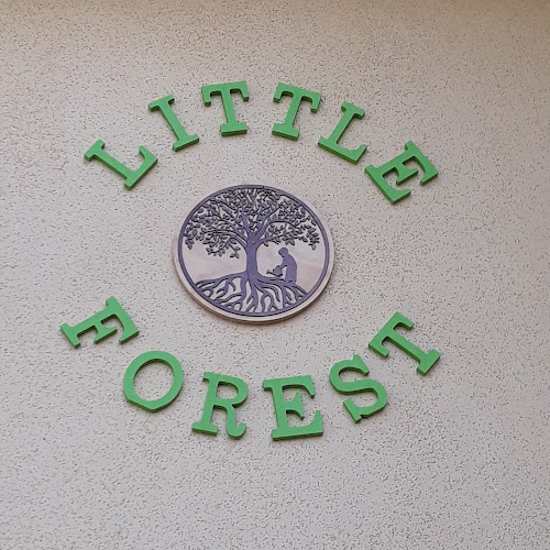 Opiniones de Little Forest - Jardín Infantil y Sala Cuna en Valparaíso - Centro de jardinería