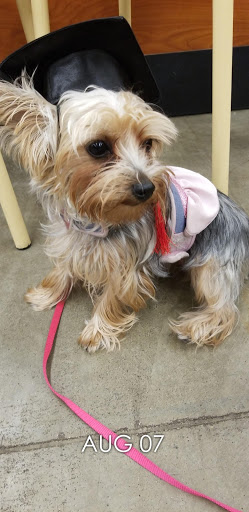 Pet Supply Store «PetSmart», reviews and photos, 8219 S John Young Pkwy, Orlando, FL 32819, USA