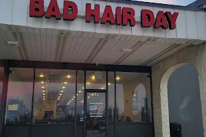 Bad Hair Day image
