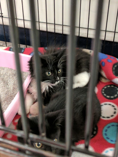 Pet Supply Store «Petco Animal Supplies», reviews and photos, 14051 Aldrich Ave S, Burnsville, MN 55337, USA