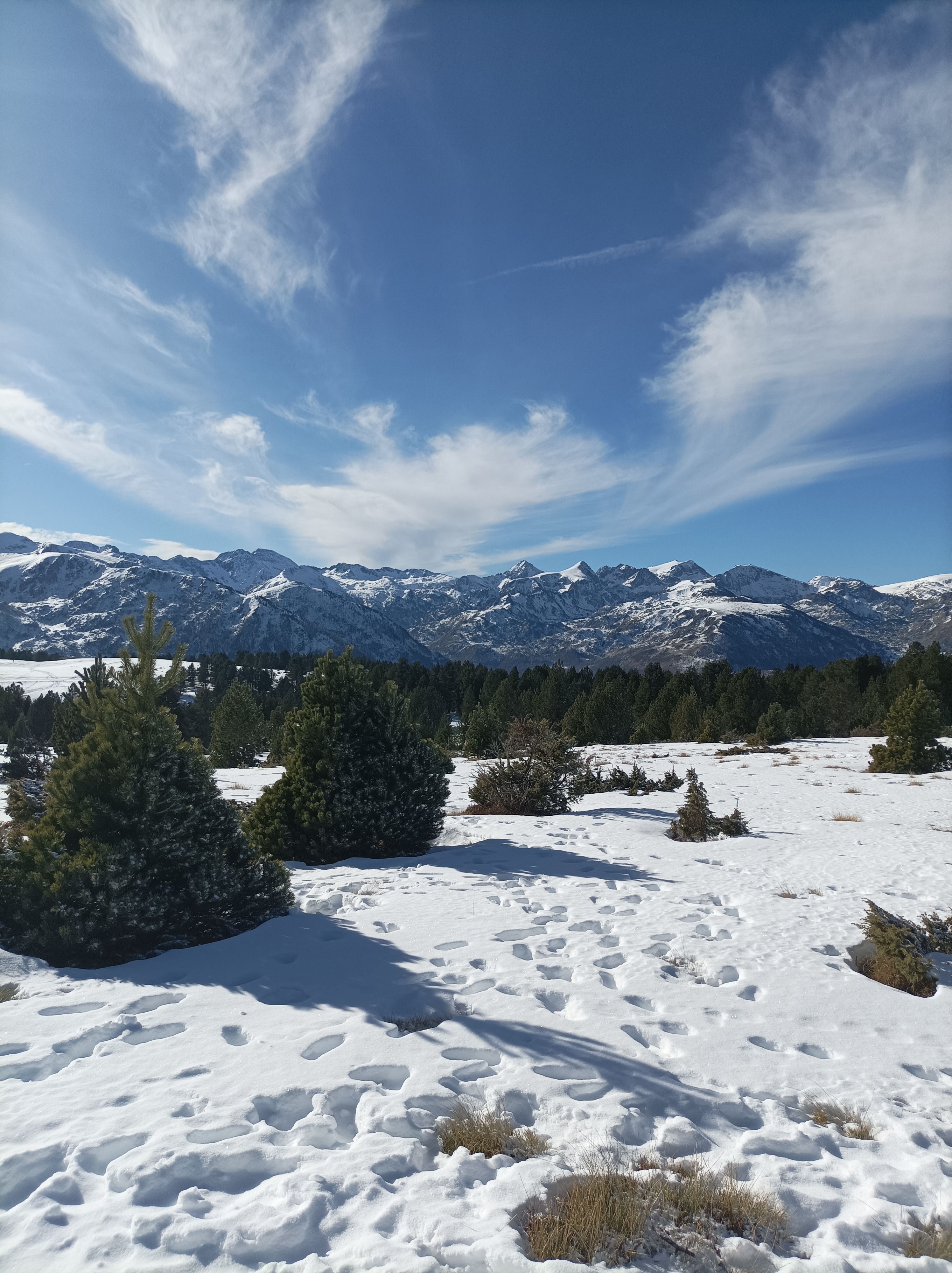 Photo n° 4 de l'avis de France.O fait le 13/01/2024 à 06:09