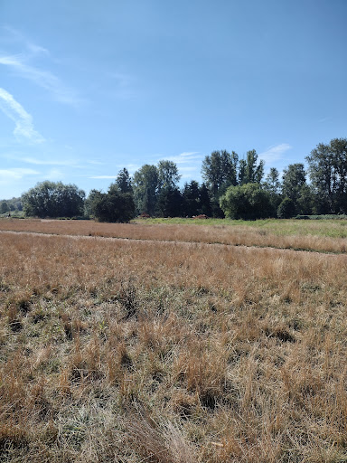 Concert Hall «Marymoor Park Concerts», reviews and photos, 6046 West Lake Sammamish Pkwy NE, Redmond, WA 98052, USA