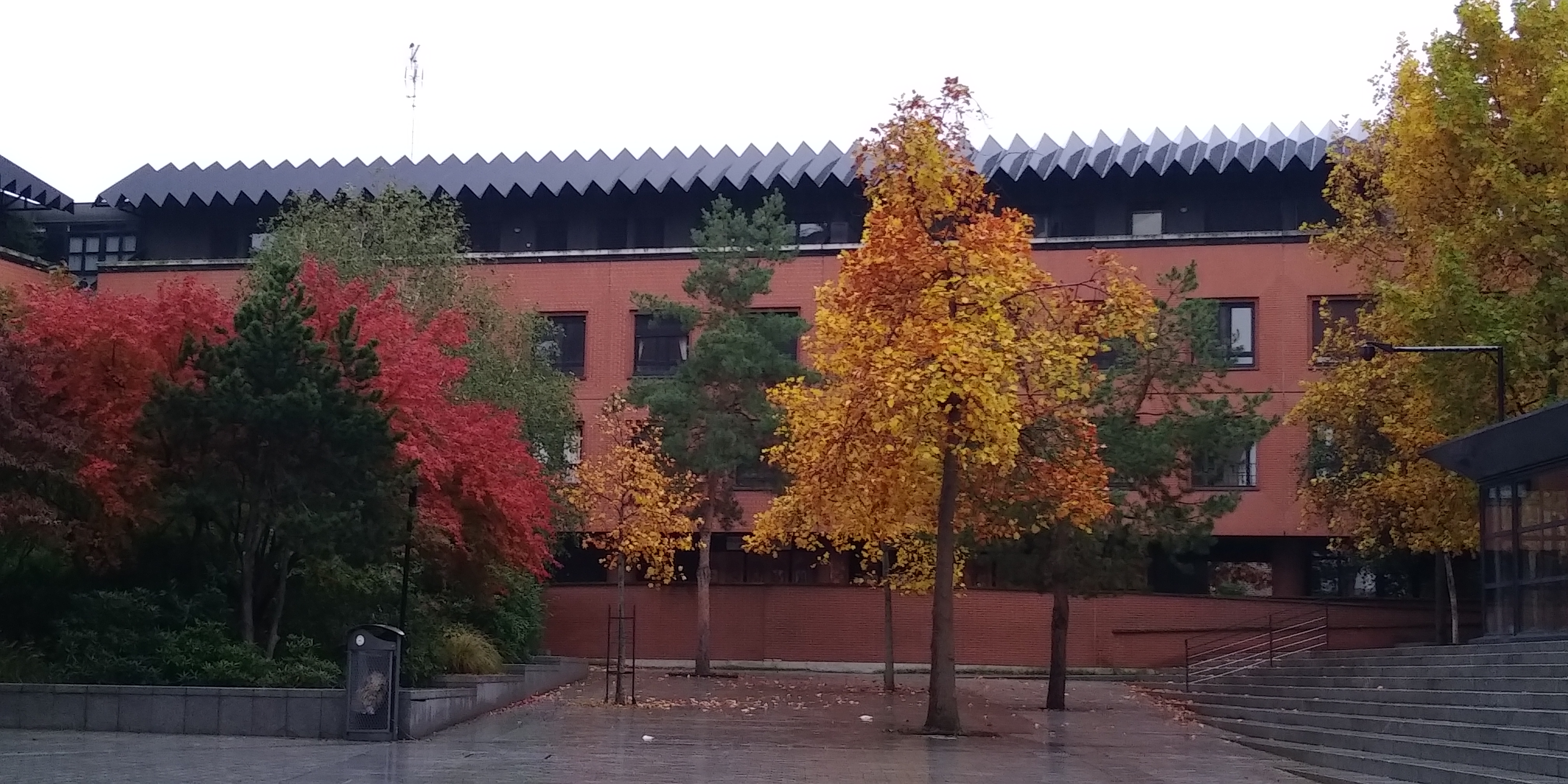 Photo n° 4 de l'avis de Golden.l fait le 29/10/2021 à 18:03