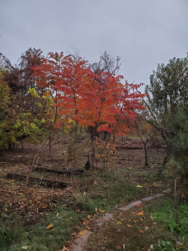 Park «Marine Park», reviews and photos, Fillmore Ave, Brooklyn, NY Brooklyn, USA