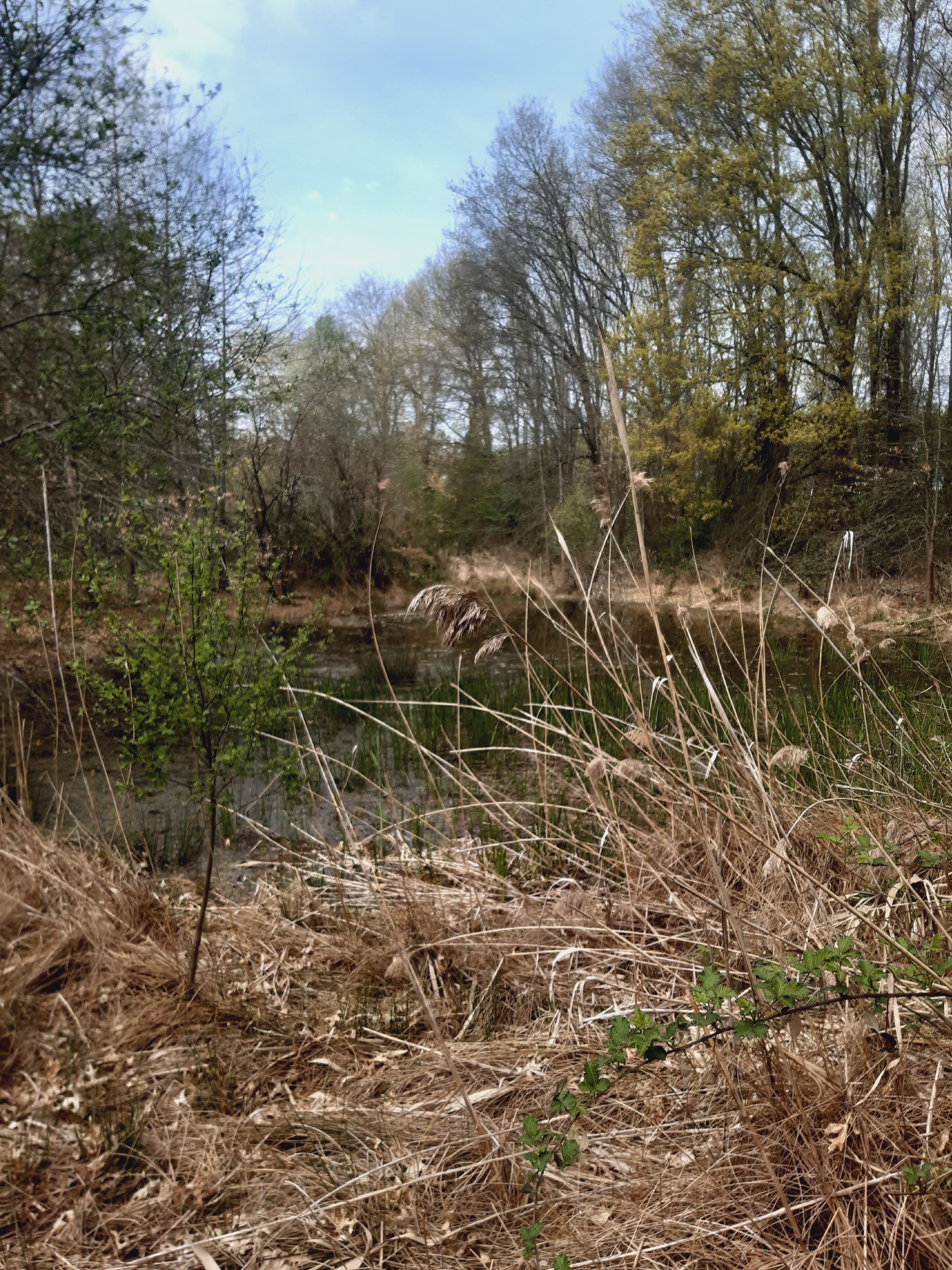 Photo n° 19 de l'avis de Jean.a fait le 11/04/2023 à 15:01
