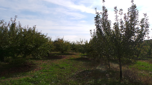 Winery «Echo Hill Orchards & Winery», reviews and photos, 101 Wilbraham Rd, Monson, MA 01057, USA