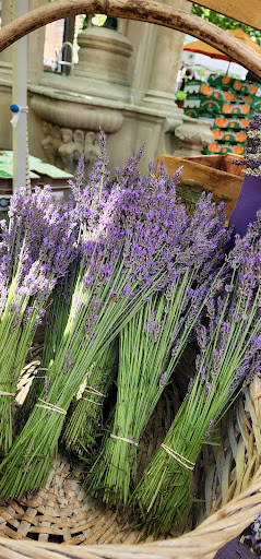 Park «South Park Blocks», reviews and photos, SW Park Ave, Portland, OR 97204, USA