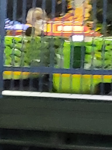 Theme Park «Fun Spot America Theme Parks-Orlando», reviews and photos, 5700 Fun Spot Way, Orlando, FL 32819, USA