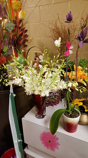 Florist «Blossoms Florist», reviews and photos, 913 N Peak St, Dallas, TX 75204, USA