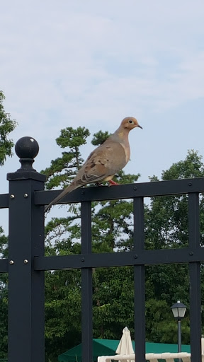 Country Club «Westlake Golf & Country Club», reviews and photos, 1 Pine Lake Cir, Jackson, NJ 08527, USA