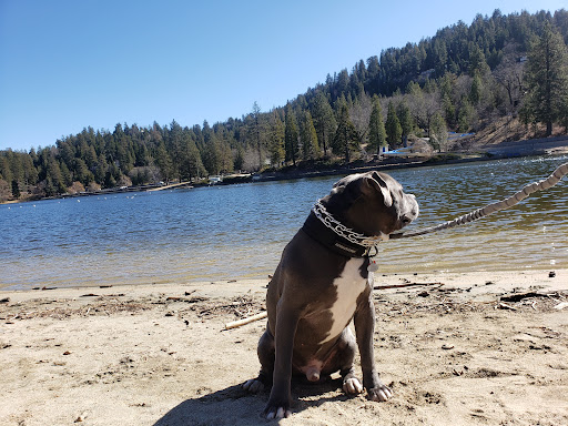 Water Park «Lake Gregory Regional Park», reviews and photos, 24171 Lake Dr, Crestline, CA 92325, USA