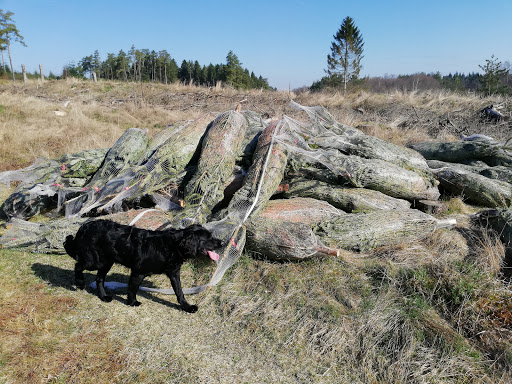 Feldballe Hundepension in Rønde, Syddjurs