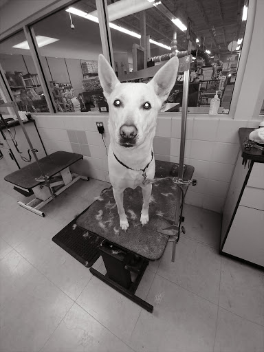 Pet Supply Store «Petco Animal Supplies», reviews and photos, 2561 E Hwy 50, Clermont, FL 34711, USA