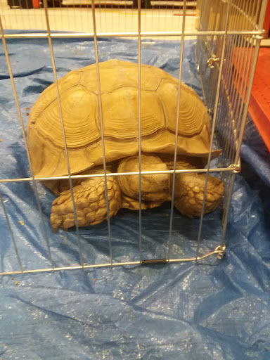 Pet Supply Store «Petco Animal Supplies», reviews and photos, 438 Southbridge St, Auburn, MA 01501, USA