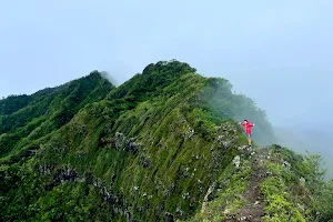 Adventure Guides Hawaii image