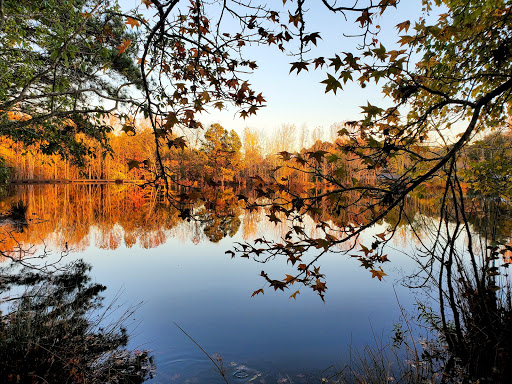 Insurance Agency «Key Benefit Administrators», reviews and photos