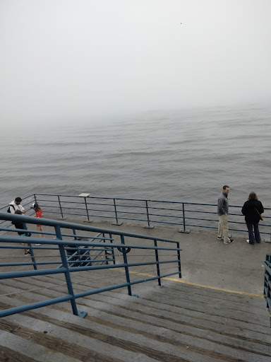 Pet Supply Store «Unleashed by Petco», reviews and photos, 1402 Wilshire Blvd, Santa Monica, CA 90403, USA