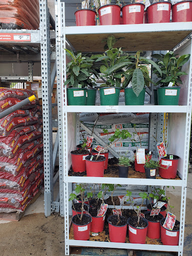 Home Improvement Store «The Home Depot», reviews and photos, W 12871 I-10, San Antonio, TX 78249, USA