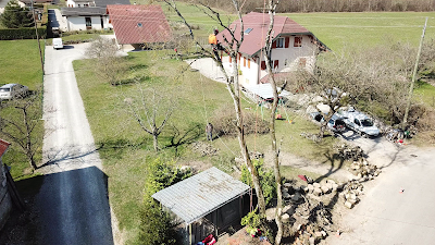 Arbres et Vous à Pierre-Châtel