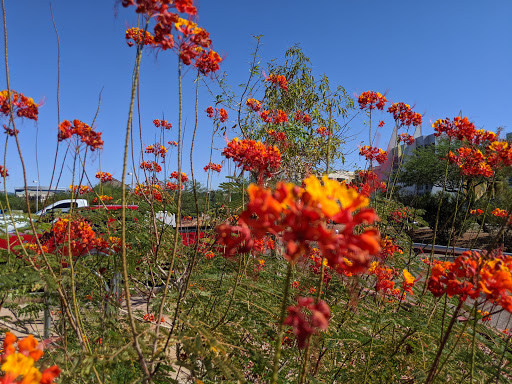 Park «Rio Salado Park», reviews and photos, 80 West Rio Salado Parkway, Tempe, AZ 85281, USA