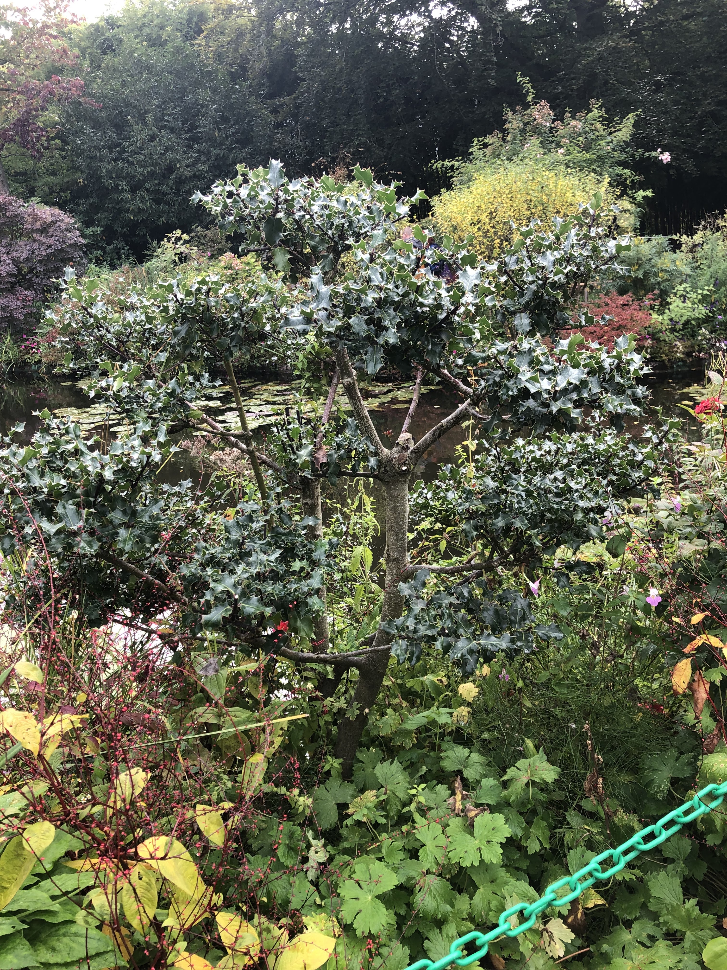 Photo n° 10 de l'avis de Manu. fait le 02/10/2022 à 18:08