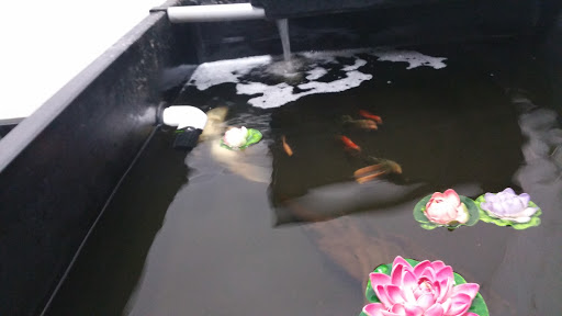 Pet Supply Store «Pet Supreme», reviews and photos, 12823 Foothill Blvd, Sylmar, CA 91342, USA