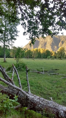 RUKA RAYEN - Palguin River, Pucón Hostel, B&B & Camping - Hotel